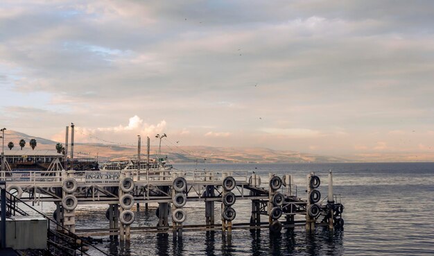 image preview(placeholder)