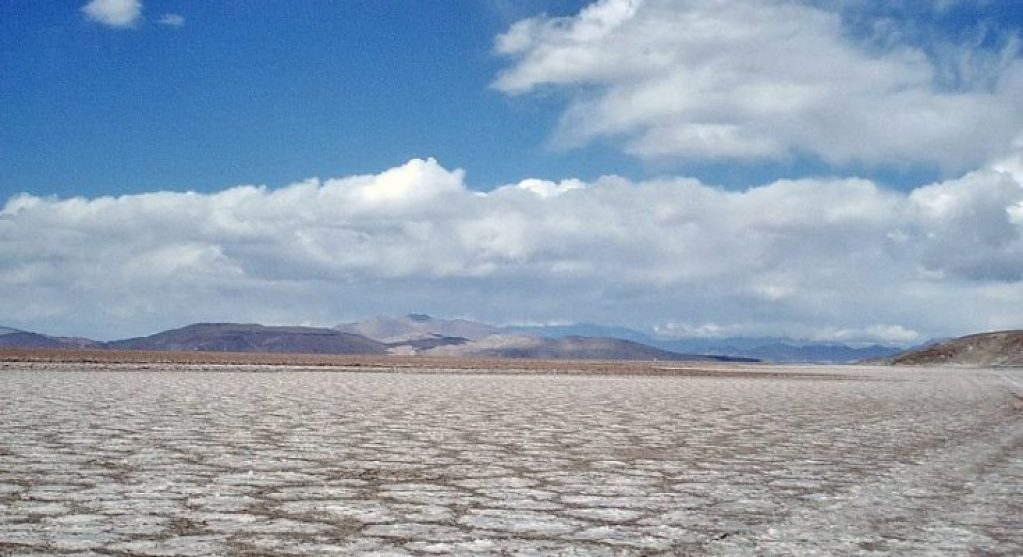 image preview(placeholder)