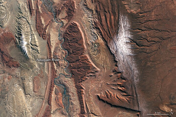 image preview(placeholder)