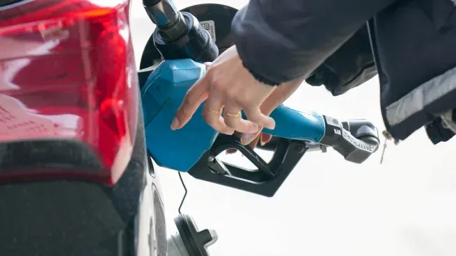 Image Preview (Placeholder)