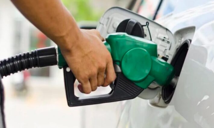 Image Preview (Placeholder)